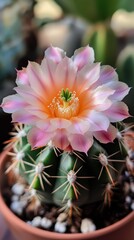 Poster - Macro shot of a vibrant cactus flower revealing intricate details and colors in a natural setting