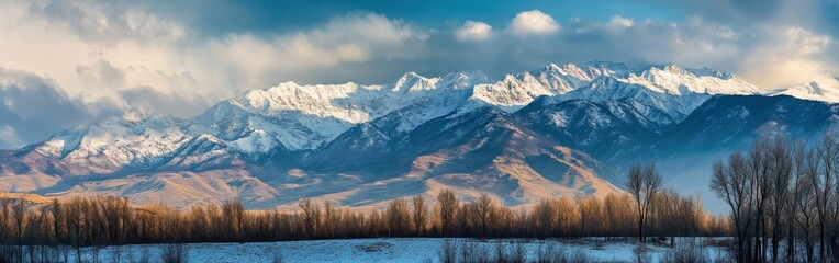 Poster - Snowy mountain range with cloudy skies and serene landscape during winter season in the highlands