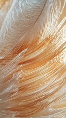 Aufkleber - Close-up view of a delicate feather highlighting intricate details and soft textures in natural light