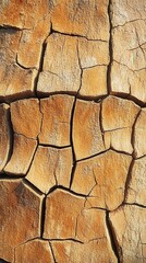 Aufkleber - Close-up view of cracked wood surface showcasing natural textures and patterns in warm tones
