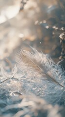 Poster - Intricate details of a delicate feather resting on a soft surface illuminated by natural light