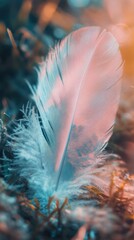 Poster - Detailed macrophotograph captures the delicate textures and colors of a feather nestled among moss in soft light