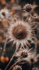 Poster - Close-up view of a thistle flower showcasing intricate details in natural setting during daylight