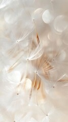 Poster - Close-up view of dandelion puff showcasing delicate seeds against a soft background with light reflections