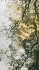 Poster - Intricate ripples and reflections on a tranquil water surface showcasing natural patterns and serene ambiance