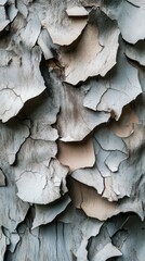Poster - Weathered wood abstract wallpaper with intricate textures and peeling layers capturing nature's artistry