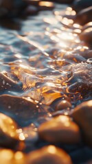 Poster - Flowing water cascading over pebbles in a serene natural setting during golden hour