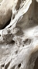 Poster - Weathered driftwood showcases intricate textures and patterns found in nature's art