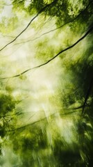 Aufkleber - Abstract view of tree canopies illuminated by sunlight in a serene forest environment