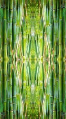 Poster - Abstract view exploring the textures and colors of bamboo stalks under natural light in a tranquil setting
