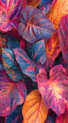 Aufkleber - Colorful autumn leaves showcasing vibrant hues and intricate patterns in a natural setting during fall