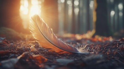Aufkleber - Delicate feather resting on forest floor illuminated by soft morning light