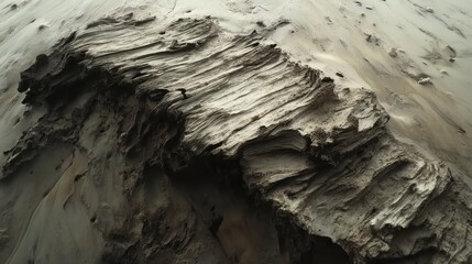 Poster - Weathered driftwood shaped by ocean waves rests on sandy shore at low tide during golden hour
