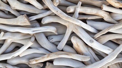 Poster - Weathered driftwood arranged artfully on a sandy beach, showcasing organic shapes and textures influenced by natural elements