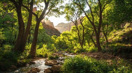 Poster - Tranquil stream flowing through lush valley nature landscape peaceful environment serene viewpoint for relaxation