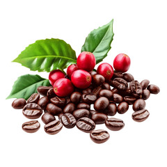 Wall Mural - Ripe and unripe red coffee beans with fresh leaves displayed on a neutral background, Red coffee beans ripe and unripe berries isolated on transparent background