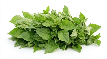 Poster - Fresh basil leaves arranged in a pile on a clean white background for culinary and food design purposes.