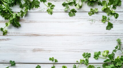 Poster - Fresh vibrant cilantro leaves arranged on a rustic white wooden table for a natural and earthy culinary backdrop or presentation.
