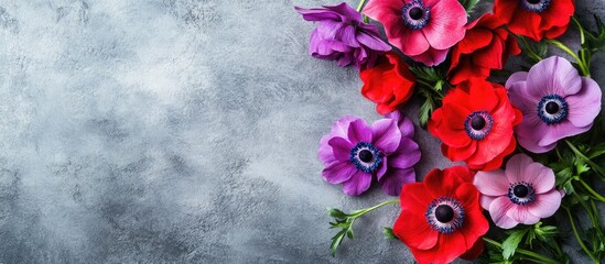 Poster - Vibrant Anemone flowers in shades of red and purple against a textured gray stone background with ample copy space for text placement.