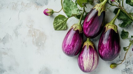 Aufkleber - Freshly harvested organic aubergines with vibrant purple skin arranged on a light background with green leaves for culinary use.