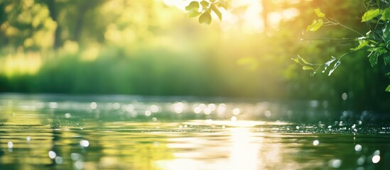 Poster - Glittering water surface with soft sunlight and blurred greenery in the background capturing serene natural beauty and tranquility