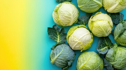 Poster - Fresh green cabbages arranged on a vibrant color background showcasing their crisp leaves and natural texture