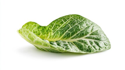 Poster - Fresh baby romaine lettuce leaf isolated on a clean white background showcasing its vibrant green color and crisp texture.