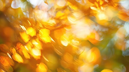 Poster - Golden bokeh lights creating a warm and dreamy abstract background for artistic and decorative purposes
