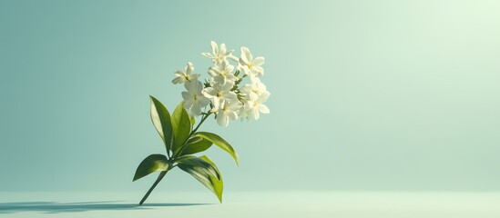 Poster - Elegant greeting card mockup showcasing a delicate white flower bouquet with ample text space for invitations or announcements.