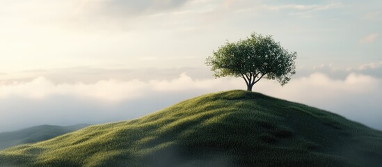 Aufkleber - Lone tree atop a lush green hill with soft clouds in the background under a gentle sky during early morning or late afternoon light.