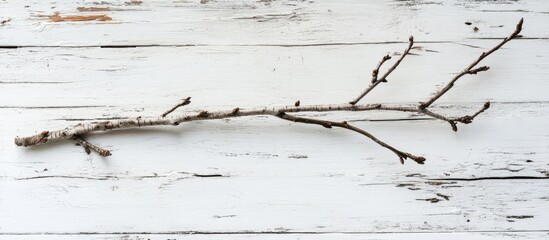Aufkleber - Rustic home decor branch on white wooden background with natural textures ideal for text placement or artistic design purposes