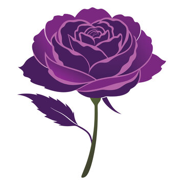 purple carnation silhouette