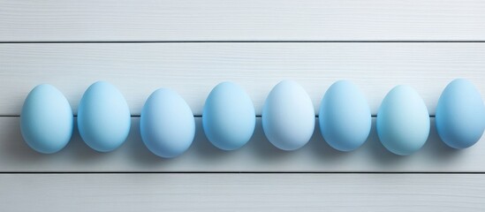 Aufkleber - Blue Easter eggs neatly lined up on a light gray wooden surface with space for text creating a festive and calming holiday atmosphere