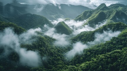 Poster - A long jungle mountain ridge, misty clouds covering jungle.