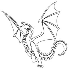 Wall Mural - dragon flying outline, sketch on white background, vector