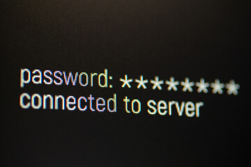 Aufkleber - connecting to server on personal computer. entering password to log in secure server, danger and saf