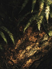 Poster - Ferns growing on rocky soil in dim light.