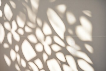 Poster - Leaf shadows create abstract pattern on a wall.