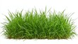 © A4719 - Lush green grass arranged in a dense patch, showcasing vibrant blades that symbolize natural beauty and freshness.