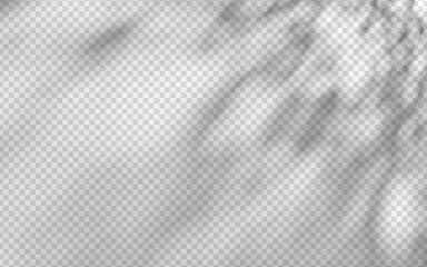 Wall Mural - abstract shadow overlay from foliage on a transparent background.