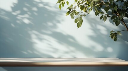 Poster - light and shadows interplay on a serene wall with leafy branch in a calm indoor space