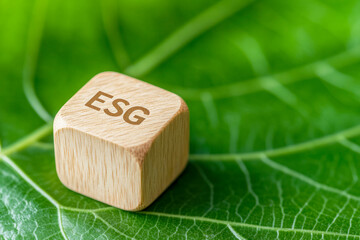 Focus on sustainable practices highlighted by an ESG block on green leaf background