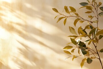 Wall Mural - Leaves casting shadows on a warm-toned background create a serene atmosphere in a well-lit space