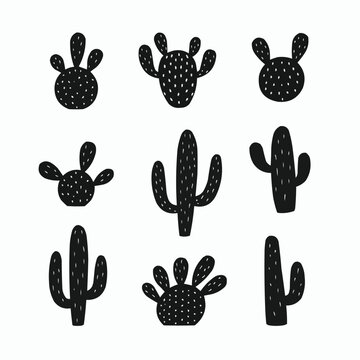 Cactus silhouettes with flowers. Different types of cactus plants.