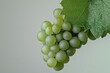 © Priya - bunch of fresh green grapes with a green leaf