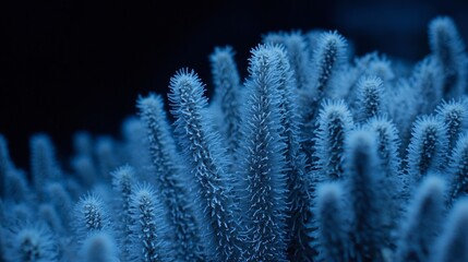 Poster - Close-Up High-Quality Image of Bacteria in a Microscopic View Illustrating Intricate Details and Structures