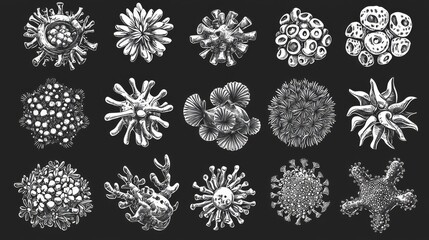 Poster - Detailed Illustration of Various High-Quality Bacteria and Virus Structures on Dark Background