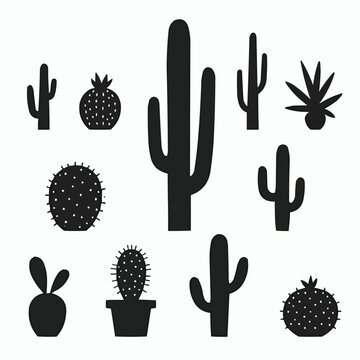 Cactus silhouettes with flowers. Different types of cactus plants.