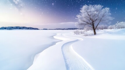 Canvas Print - Snowy landscape with a frosty tree and winding path under a starry night sky.