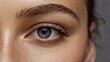 © Yanina - Close-up of eye with long lashes and detailed iris, eyebrow, vision, macro